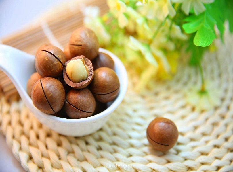 Macca là loại hạt được rất nhiều người yêu thích và sử dụng rầm rộ trên thị trường gần đây